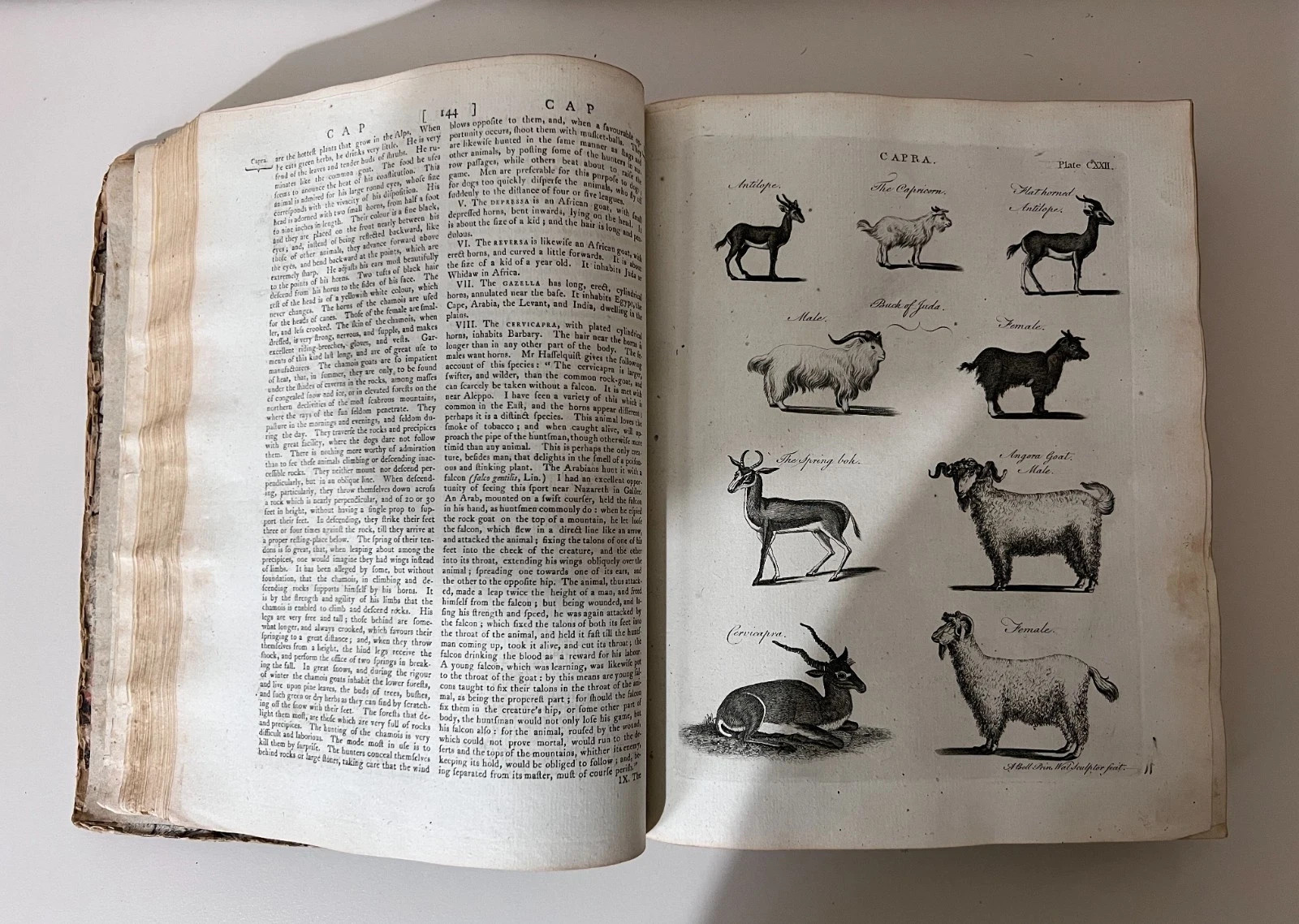 1797 Encyclopaedia Britannica 3rd Edition Antique Vol 4 Leather Spine Book