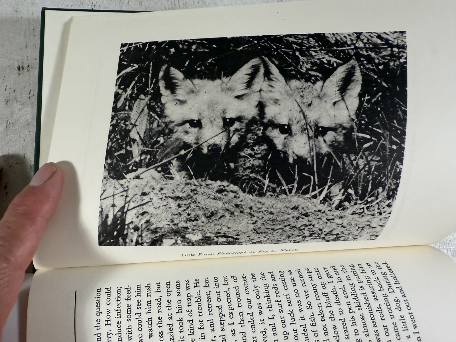 Random Notes on Hunting-John Enders Privately printed- 1/300 copies Dogs Guns…