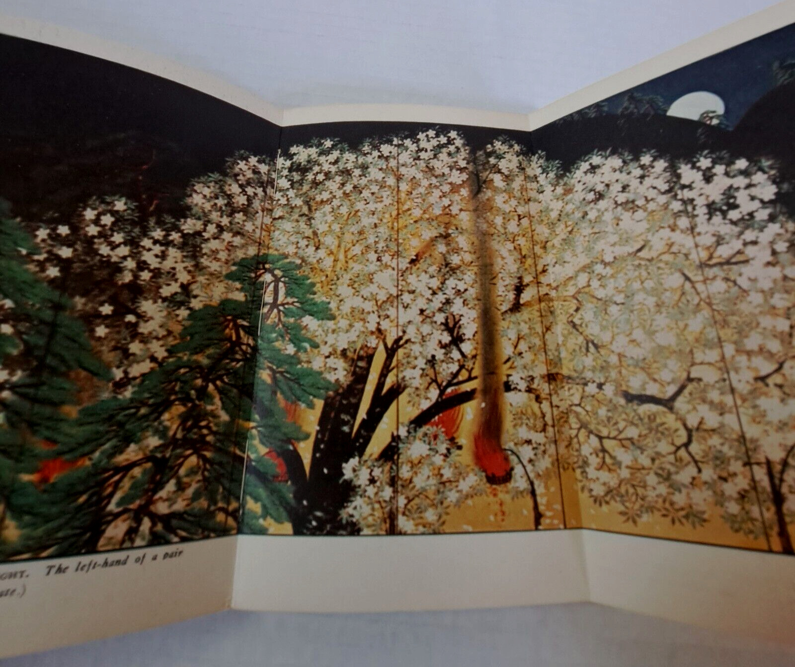 Yokoyama Taikan Library of Japanese Art 1959