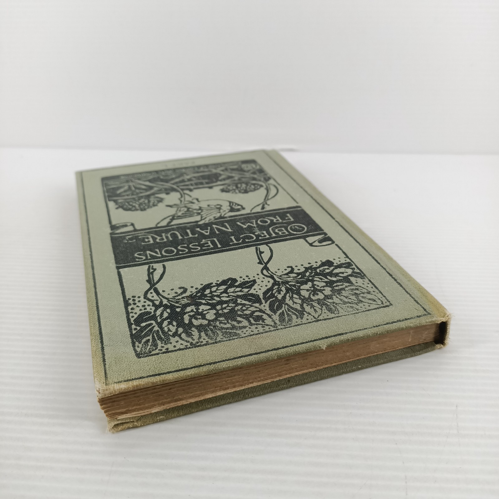 Object Lessons From Nature Part 1 A First Book Of Science L C Miall 1911 Antique