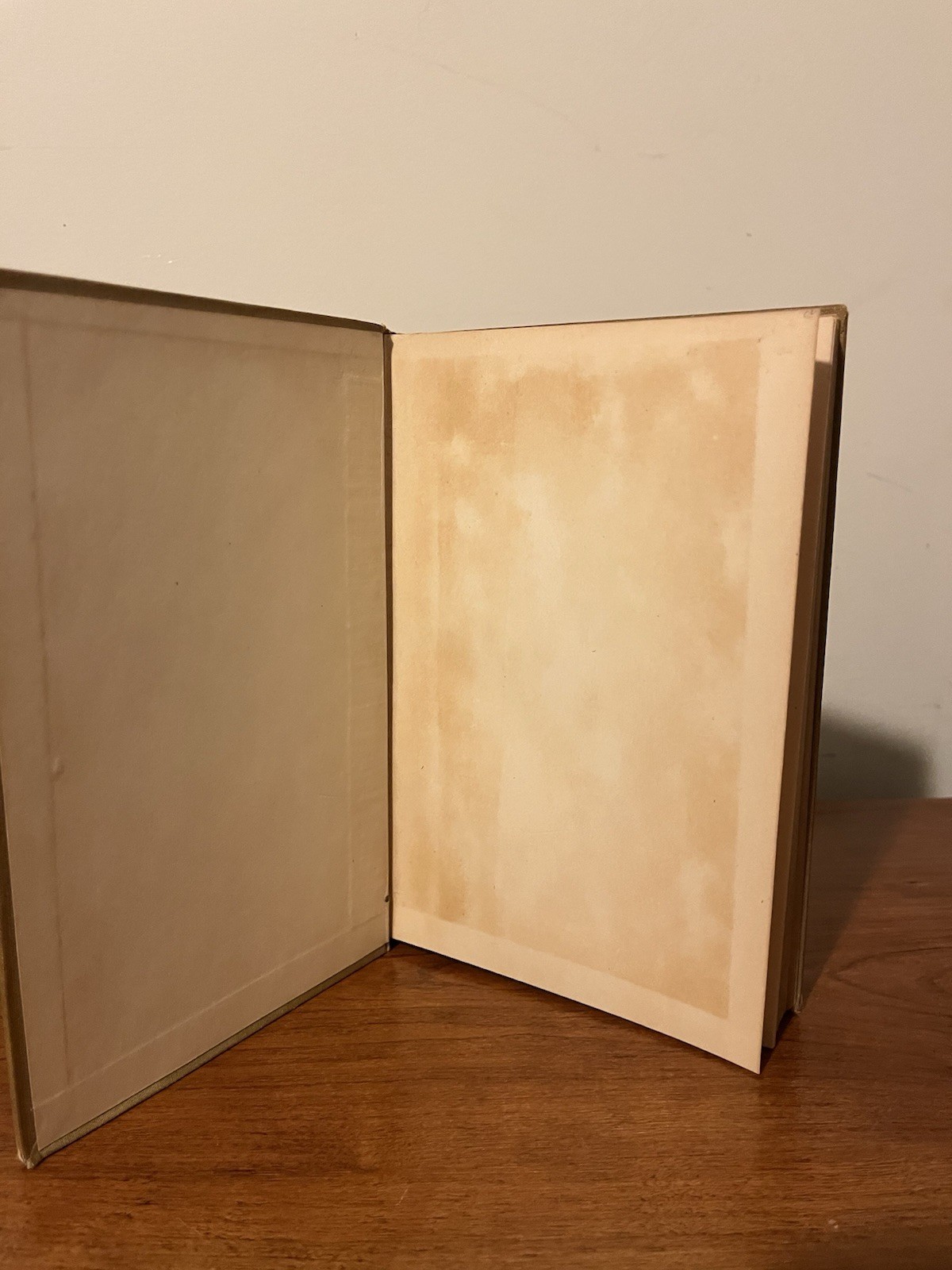 The Illustrated Man 1st Edition 1st Printing Ray Bradbury Facsimile Dust Jacket