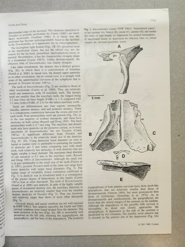 Philip J. Currie & Others Cretaceous Dinosaur Fossil +MORE Reprint Collection !!