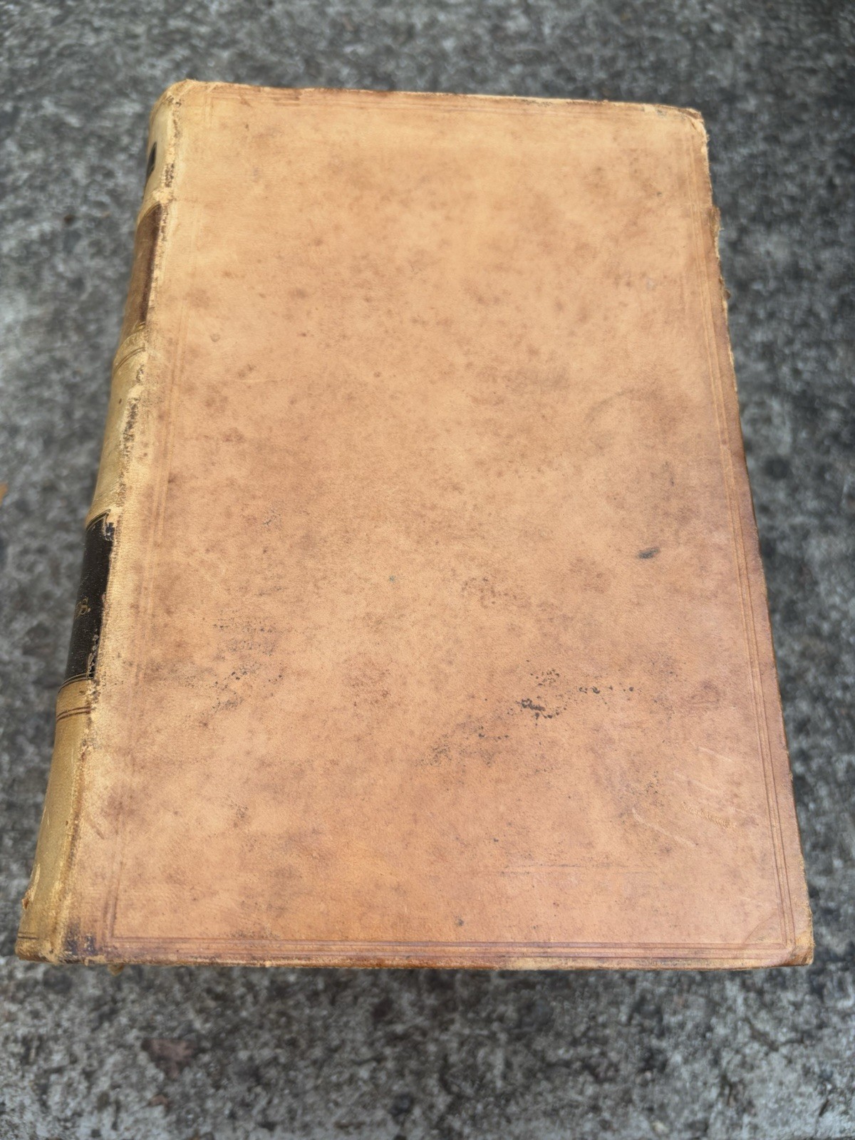 The Lawyers Reports Annotated 1909 18 19 & 20 Leatherback Books