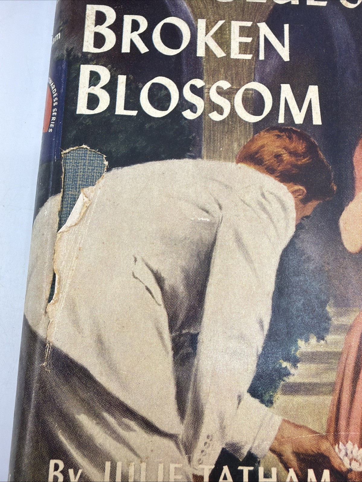 The Clue of the Broken Blossom Vicki Barr Julie Tatham HC DJ Illus AI183