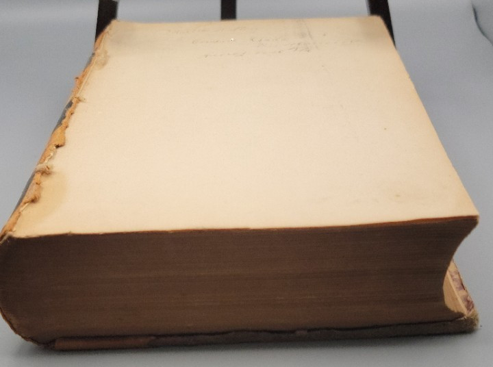 1879-1880 Journal of the Senate of Virginia Antique Law Ledger Politics American