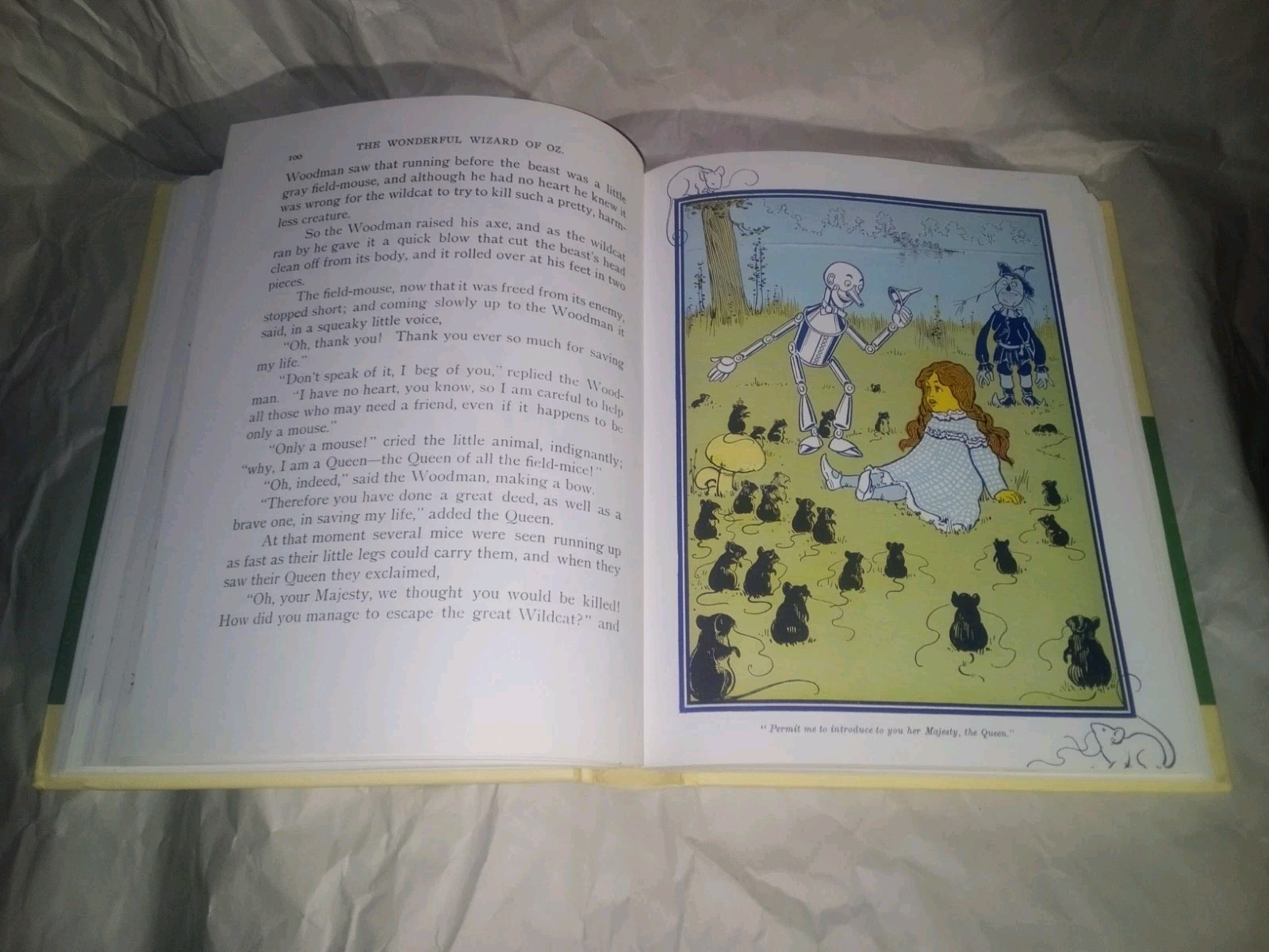 The Wonderful Wizard Of Oz L Frank Baum 1900 1st Edition W W Denslow in Color! +