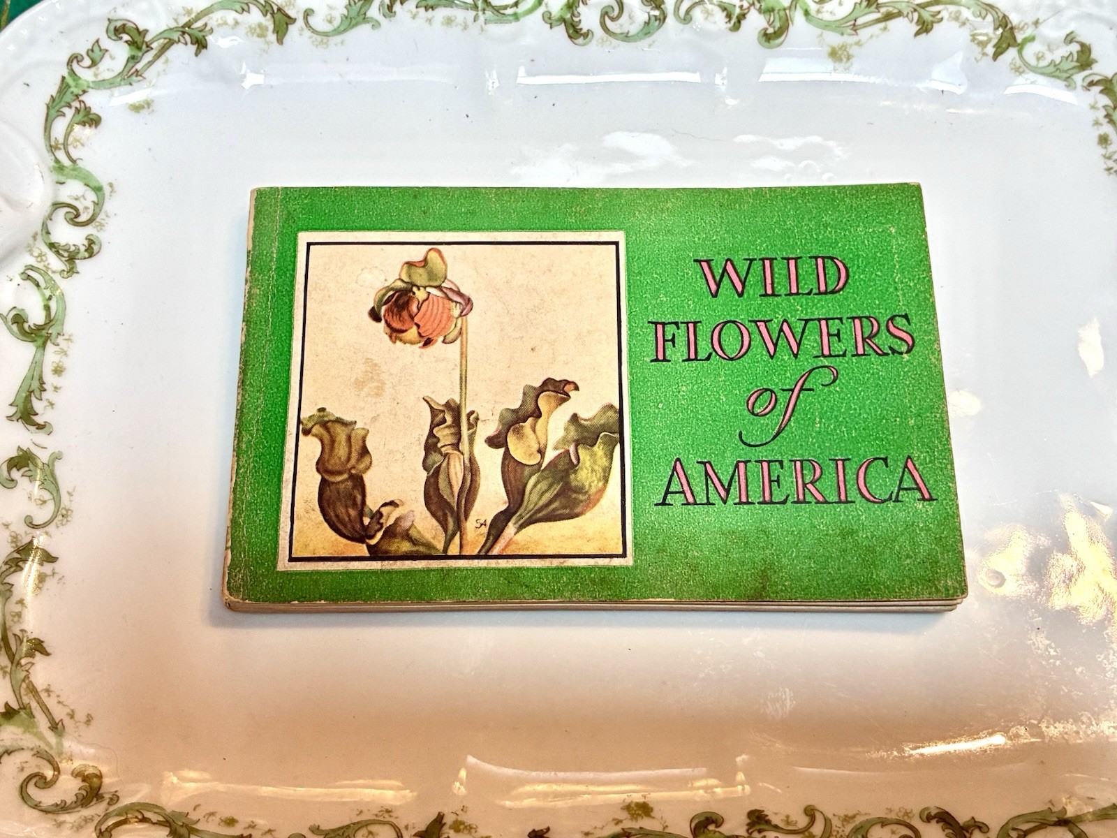 1932 Wild Flowers of America by Jane Harvey Booklet – Whitman Publishing Co.