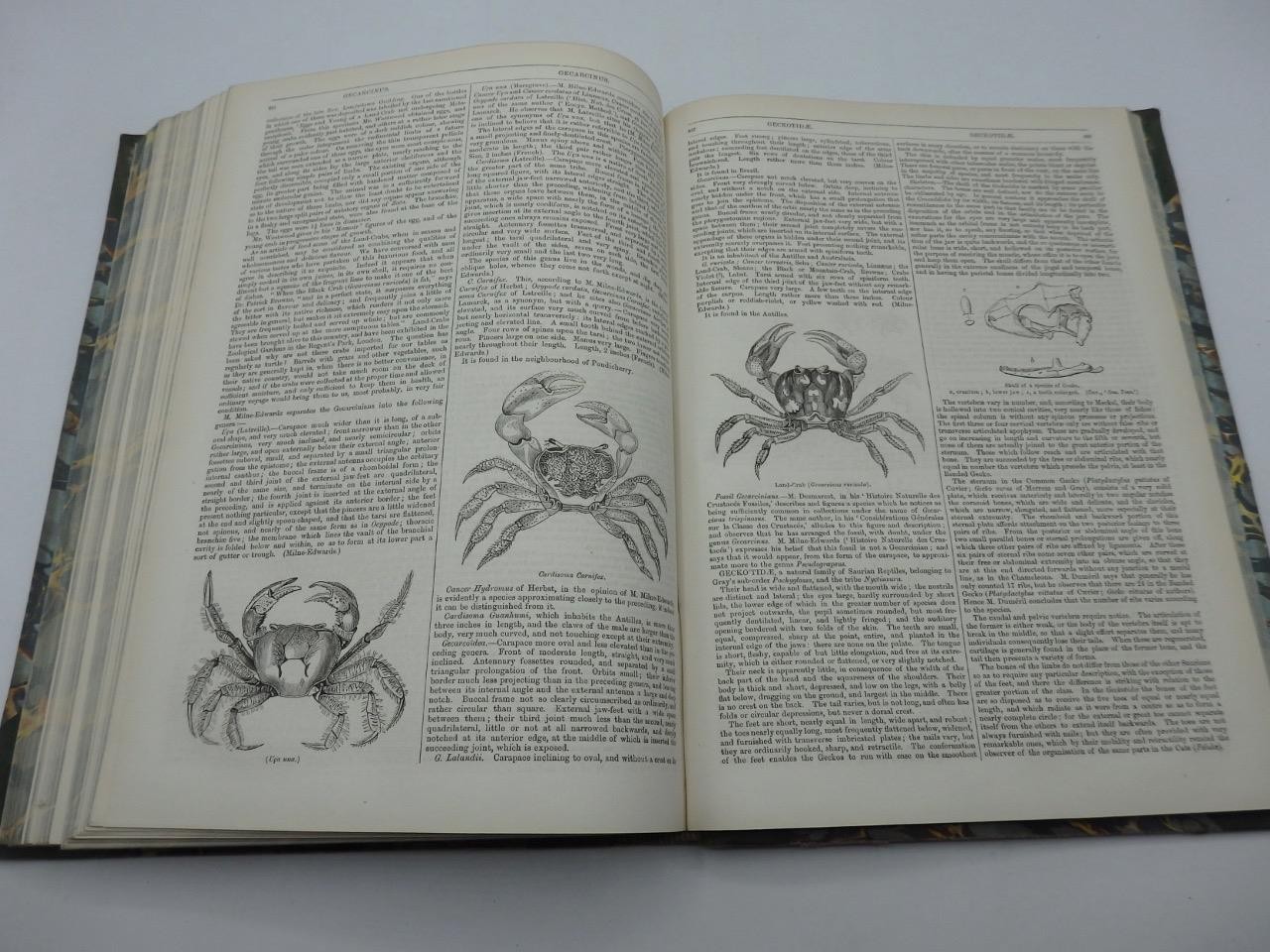 1854 ENGLISH CYCLOPAEDIA of NATURAL HISTORY Charles Knight – COMPLETE 4 VOLS.