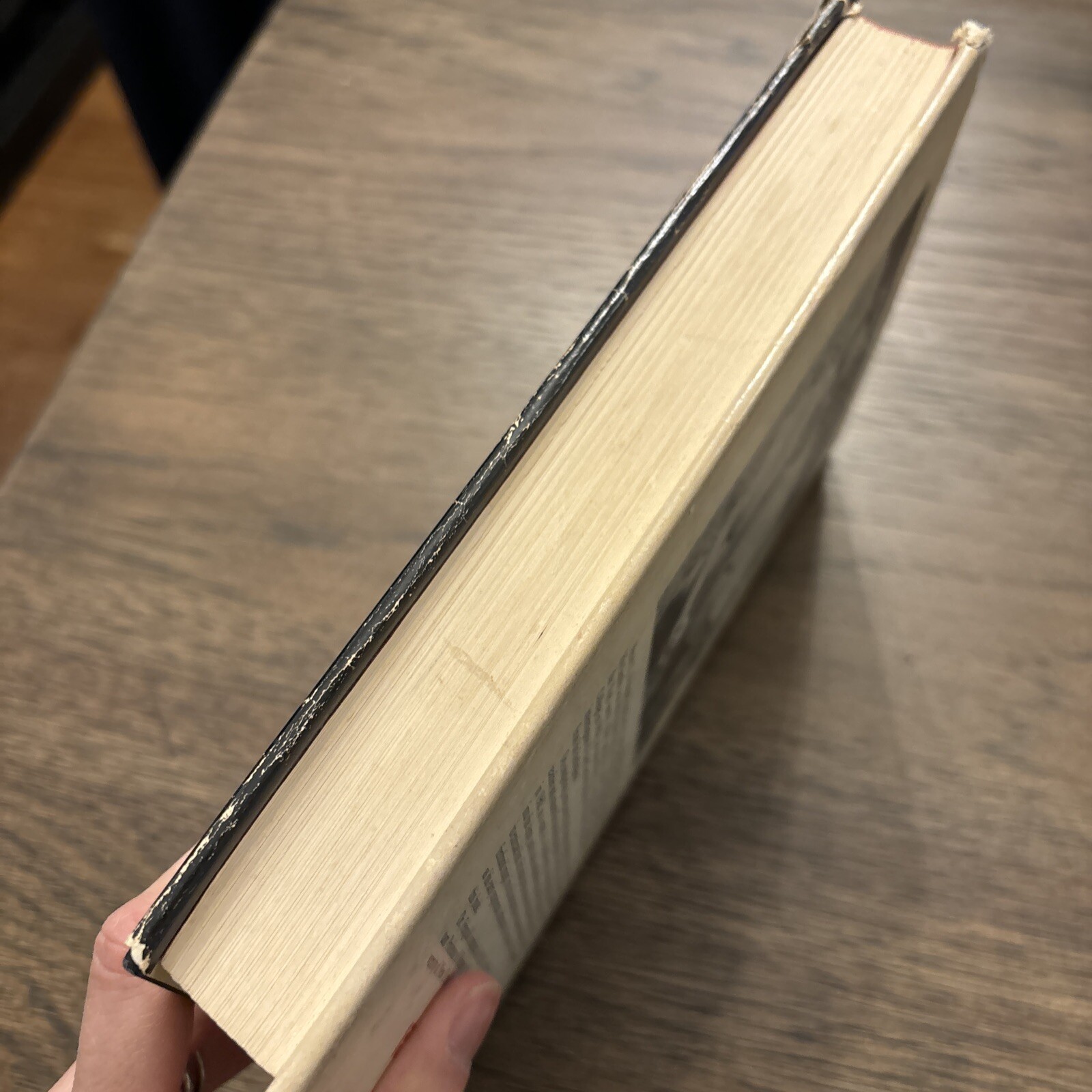 The Politics of Rescue: The Roosevelt Administration and the Holocaust 1938-1945