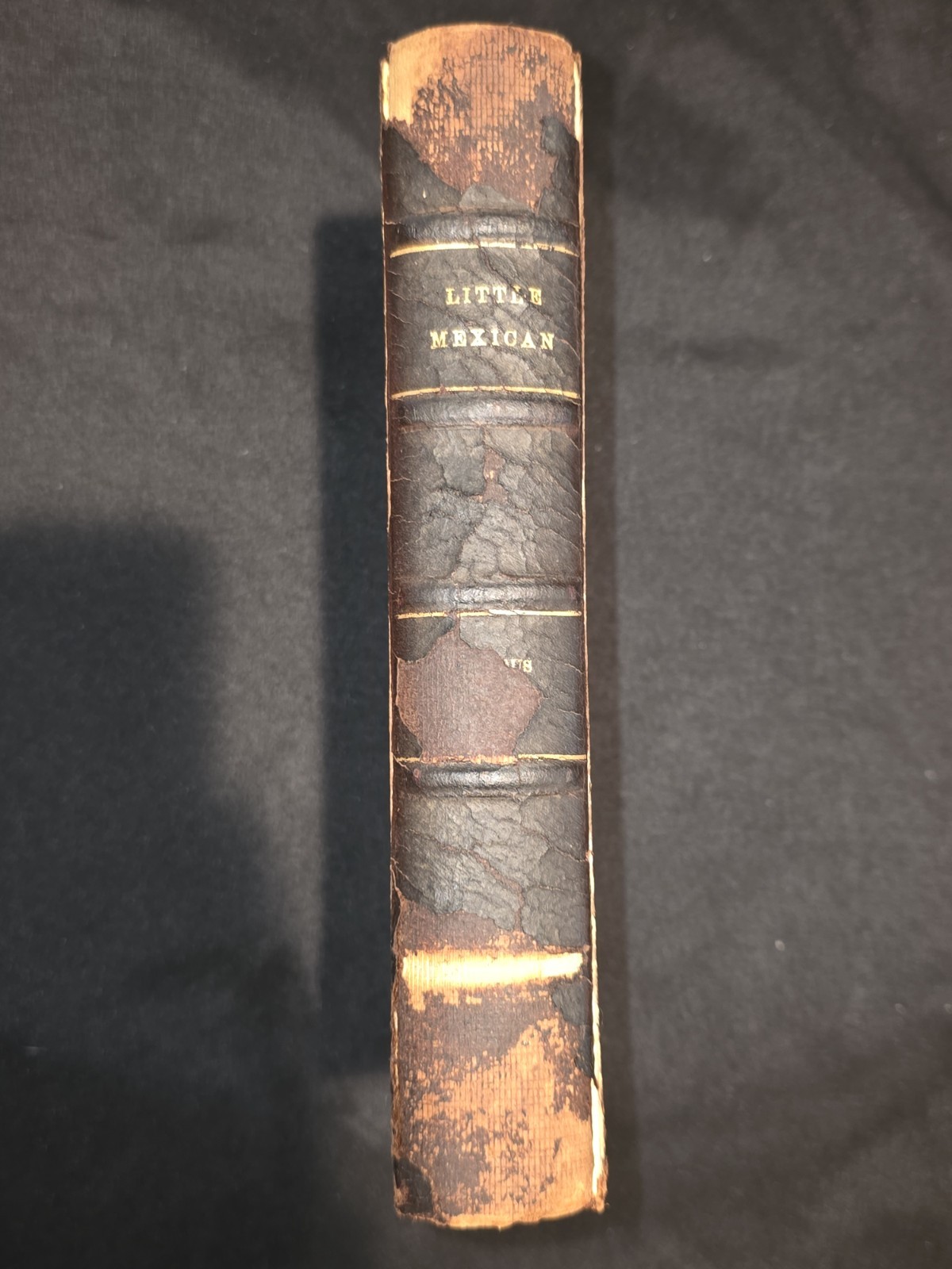 Aldous Huxley LITTLE MEXICAN & Other Stories | 1924 First Ed. Custom Binding