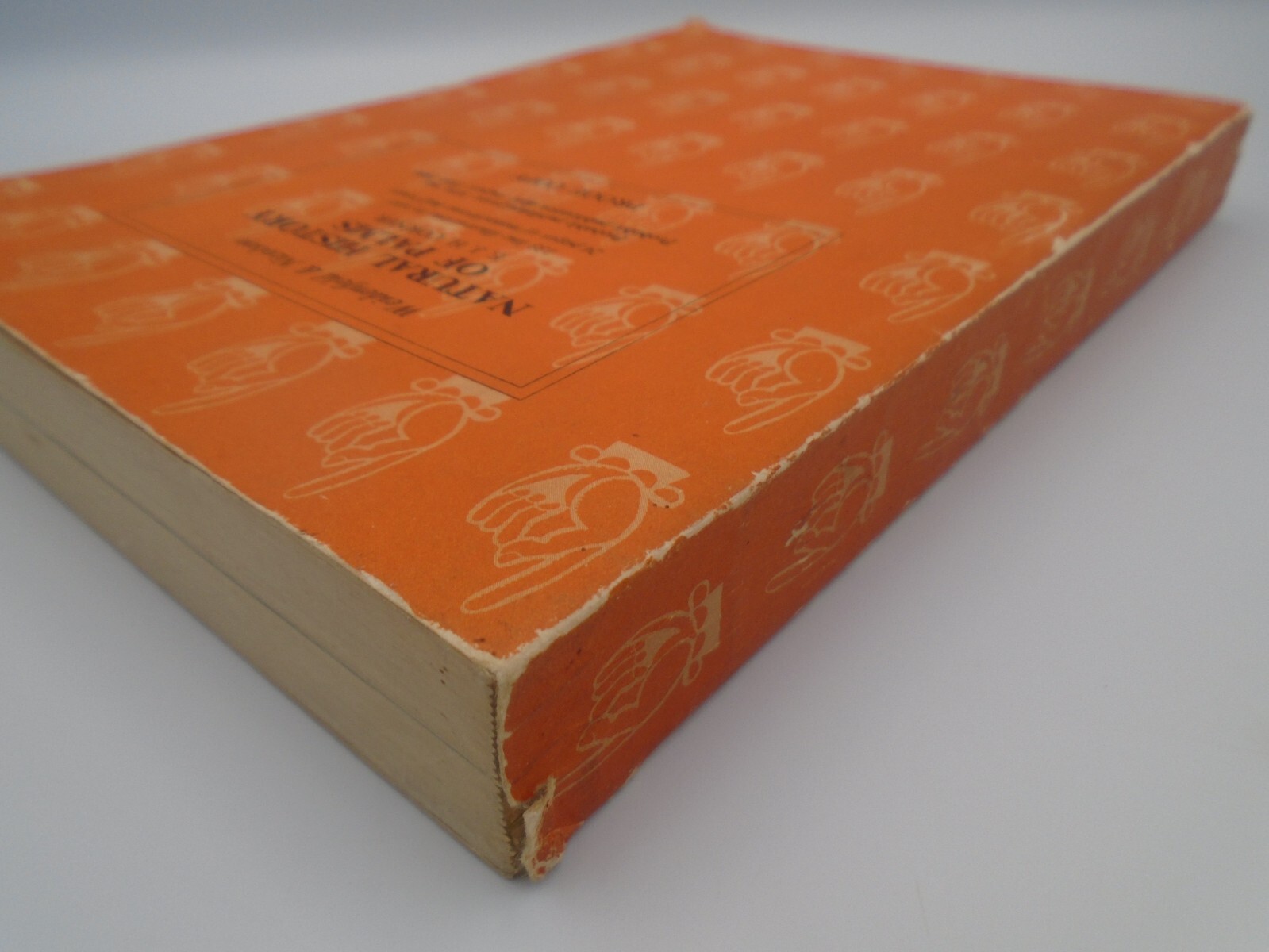 Natural History of Palms (E.J.H. Corner) PROOF COPY, 1966, Paperback
