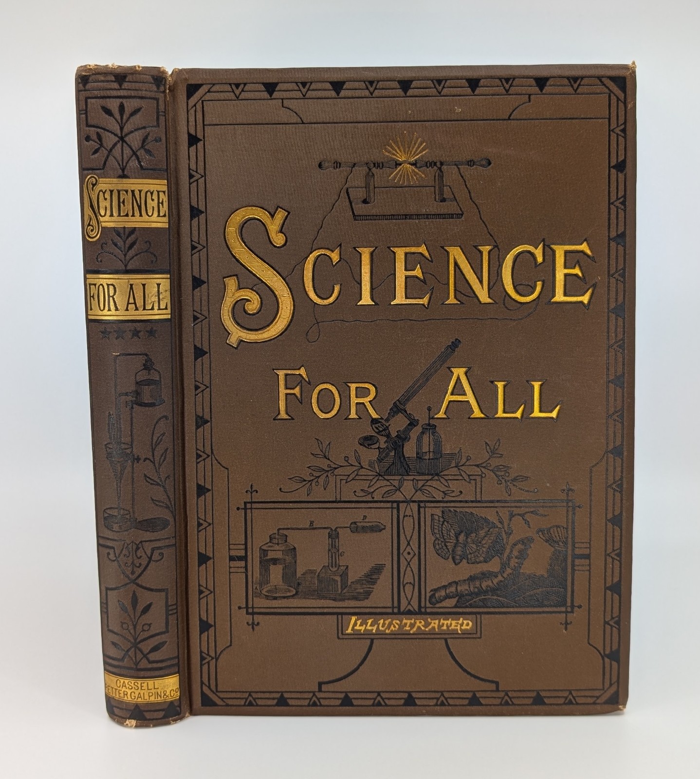 Science for All c. 1890s Vol. IV Antique Victorian Illustrated Cloth Book