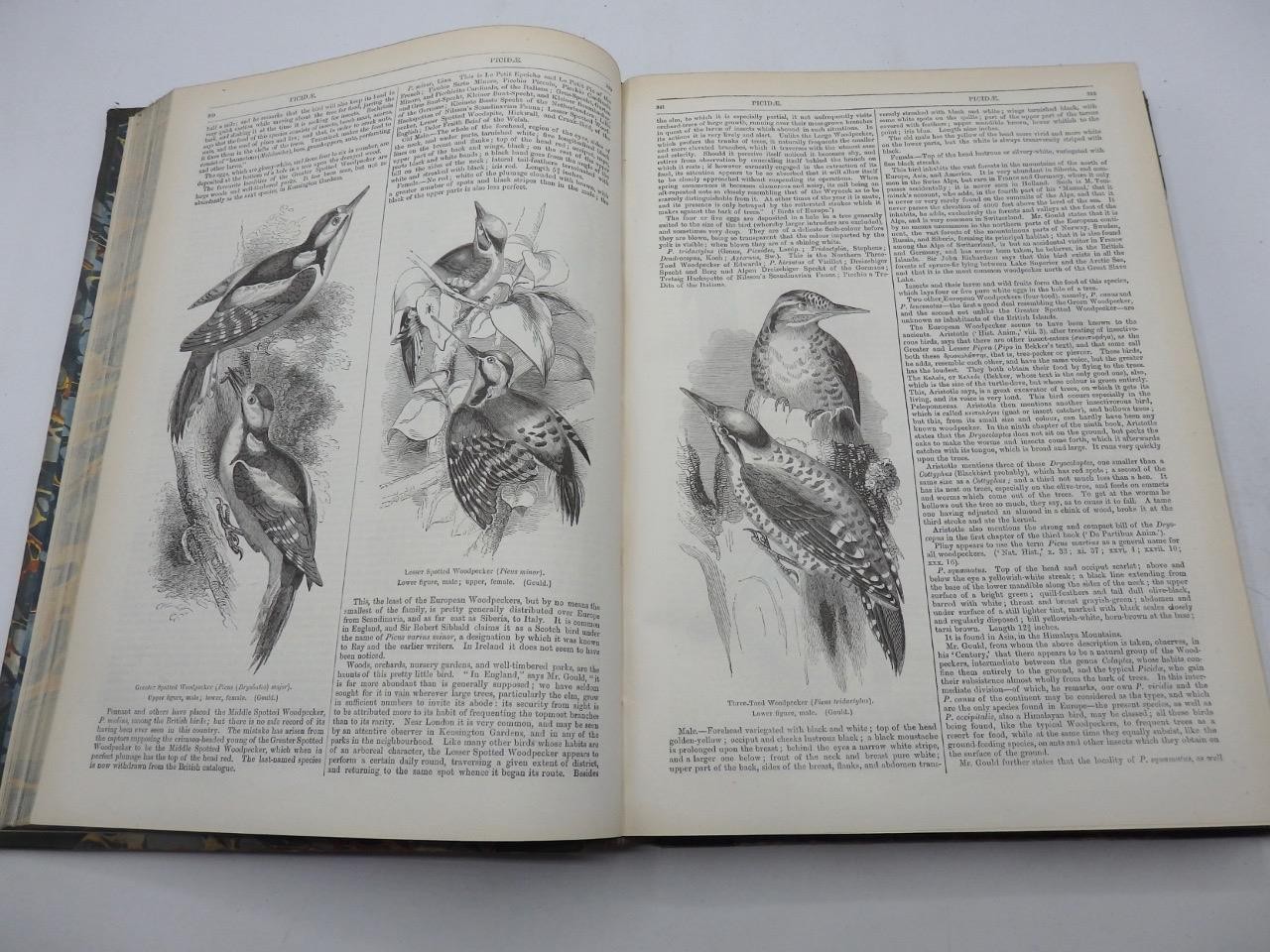 1854 ENGLISH CYCLOPAEDIA of NATURAL HISTORY Charles Knight – COMPLETE 4 VOLS.