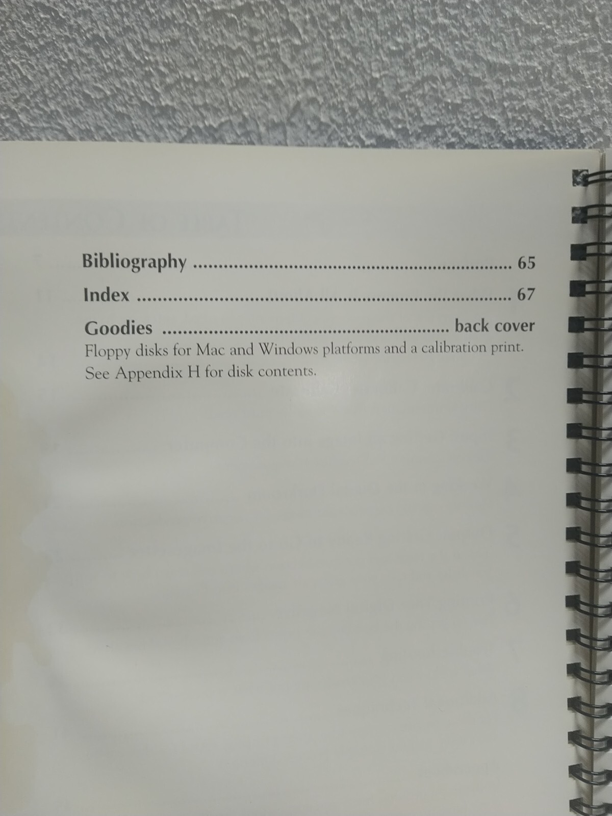 Making Digital Negatives for Contact Printing with Floppy Disk 1995 Photography