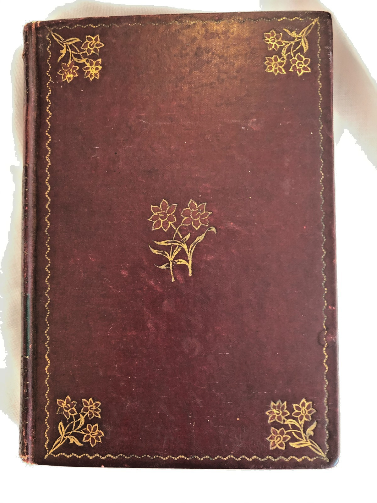 Tom Brown’s School Days By Thomas Hughes Henry Altemus 1895 LEATHER BOUND