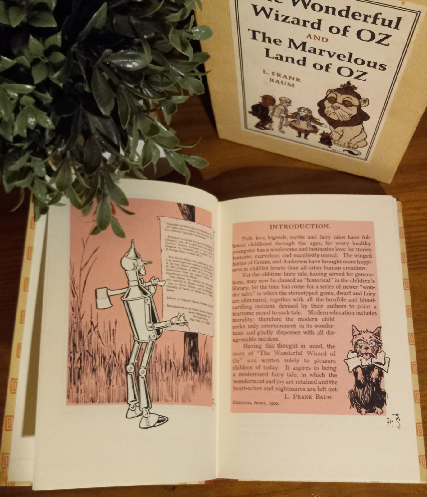 The Wonderful Wizard & Marvelous Land of Oz L Frank Baum 1966 Book Box Set *MINT