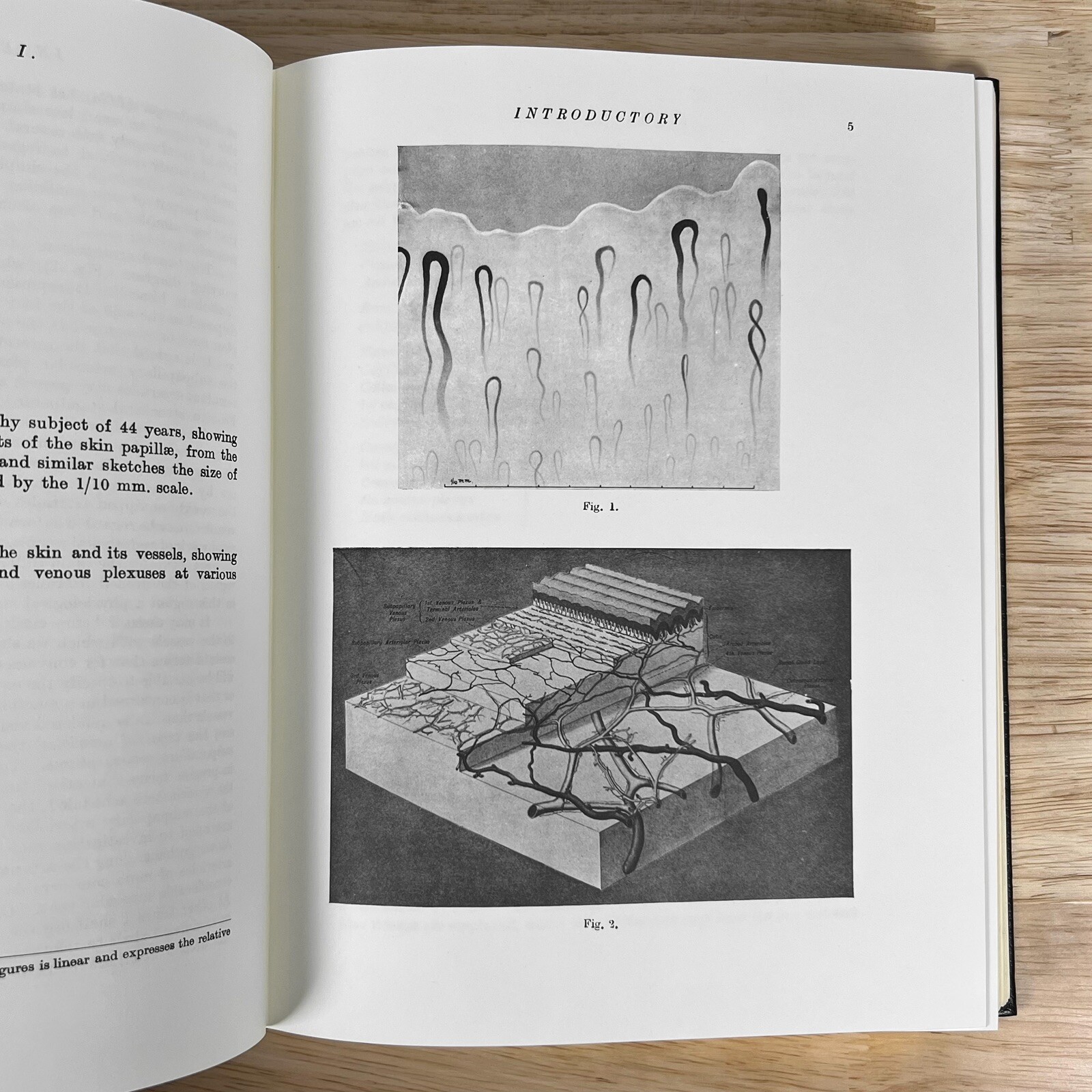 Blood Vessels of Human Skin Classics of Medicine Library Gryphon Leather Lewis