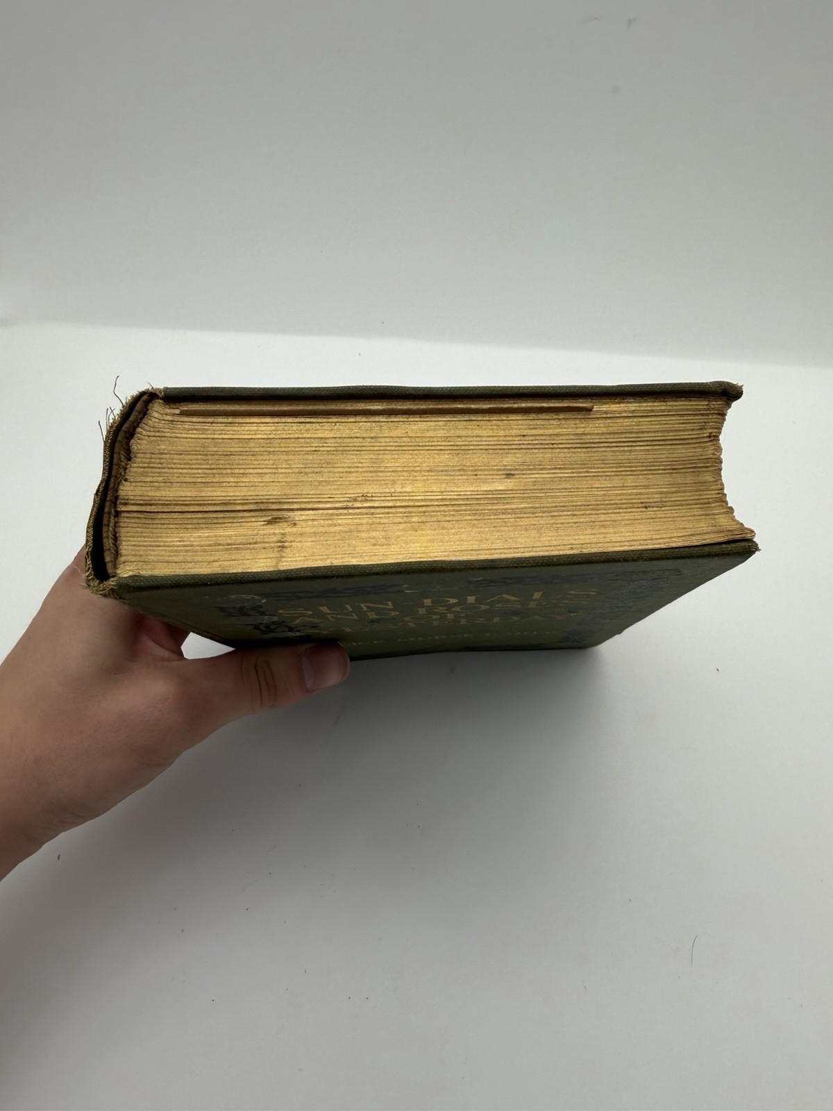 Antique 1902 First Edition Sun-Dials and Roses of Yesterday by Alice Morse Earle