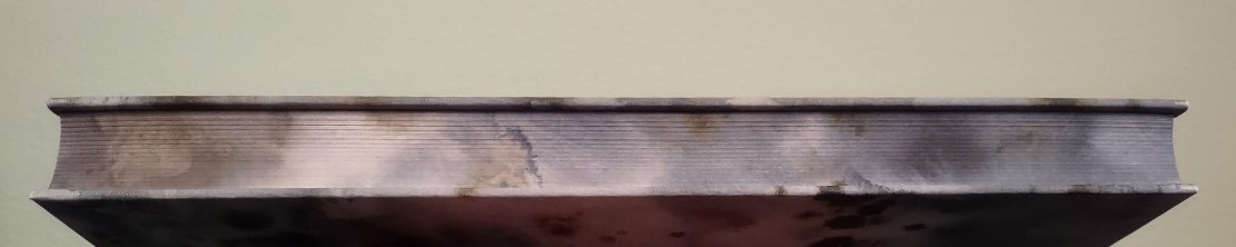 SIGNED LTD Riddley Walker Russell Hoban Quentin Blake Folio Society Slipcased HB