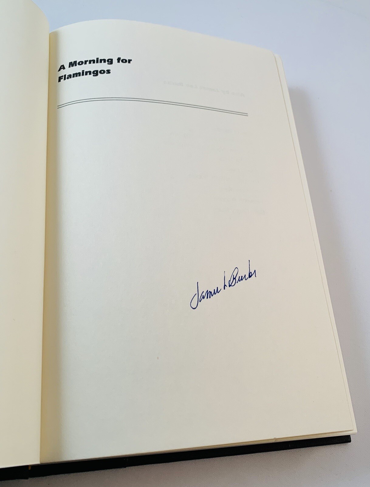 A Morning For Flamingos-James Lee Burke-SIGNED!!-TRUE First/1st Edition-RARE!!