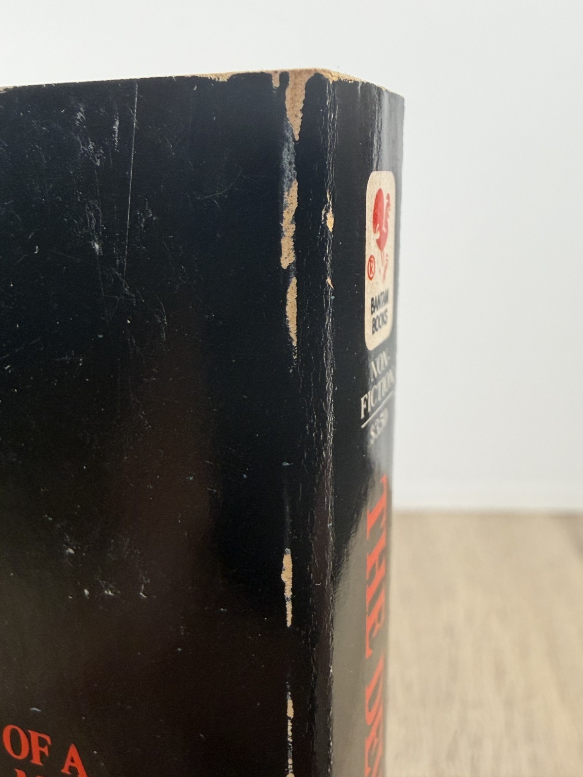 THE DEVIL IN CONNECTICUT By Gerald Brittle 1st Print The Conjuring OOP Horror VG