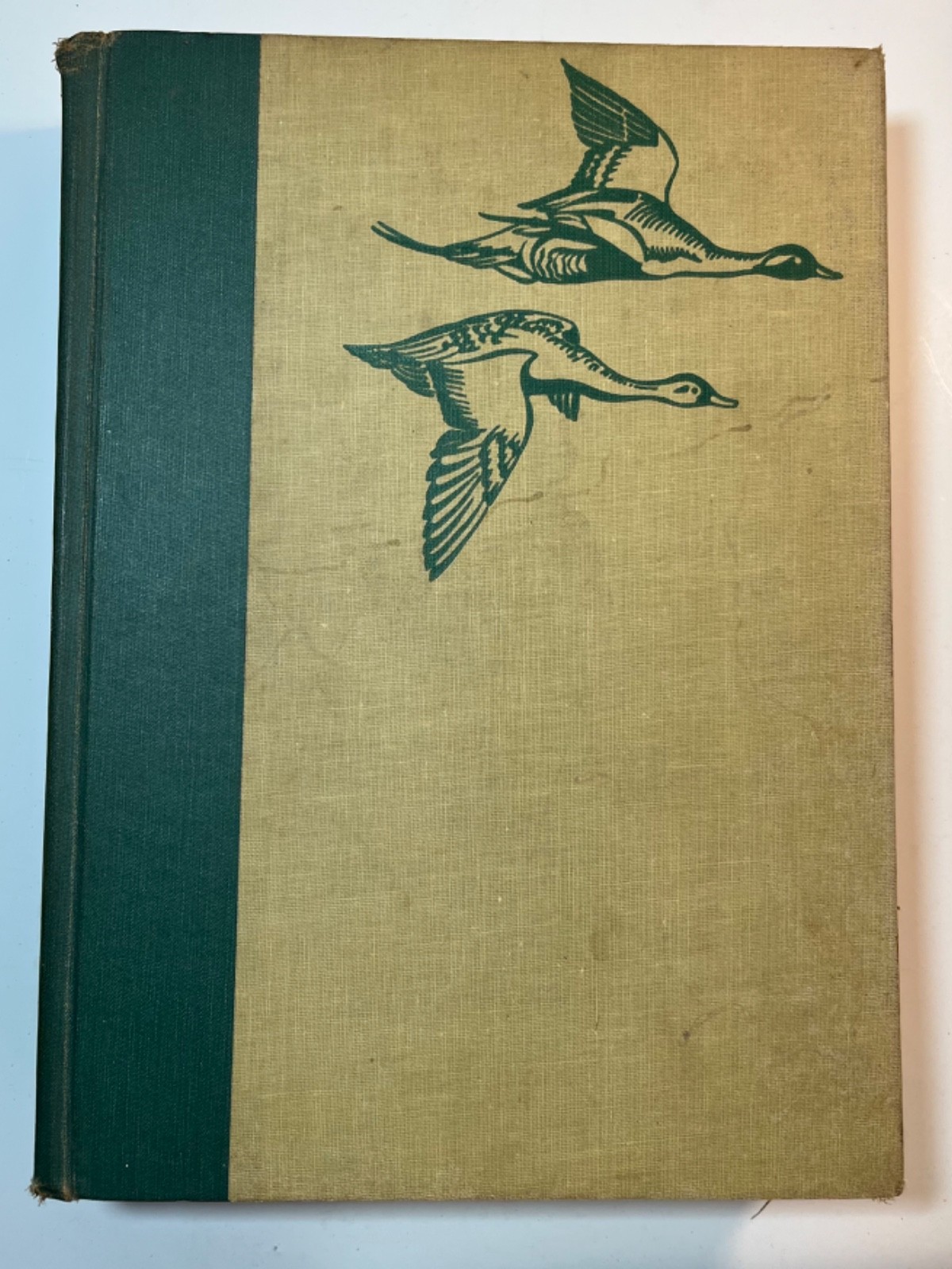 Birds of America 1917, 1936 Antique with Full Color Illustrations Hardcover