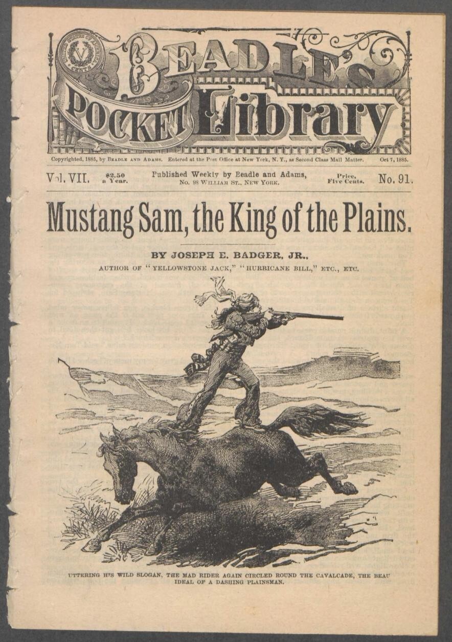 BEADLE’S POCKET LIBRARY 138 Unique Issue Collection On USB Flash Drive
