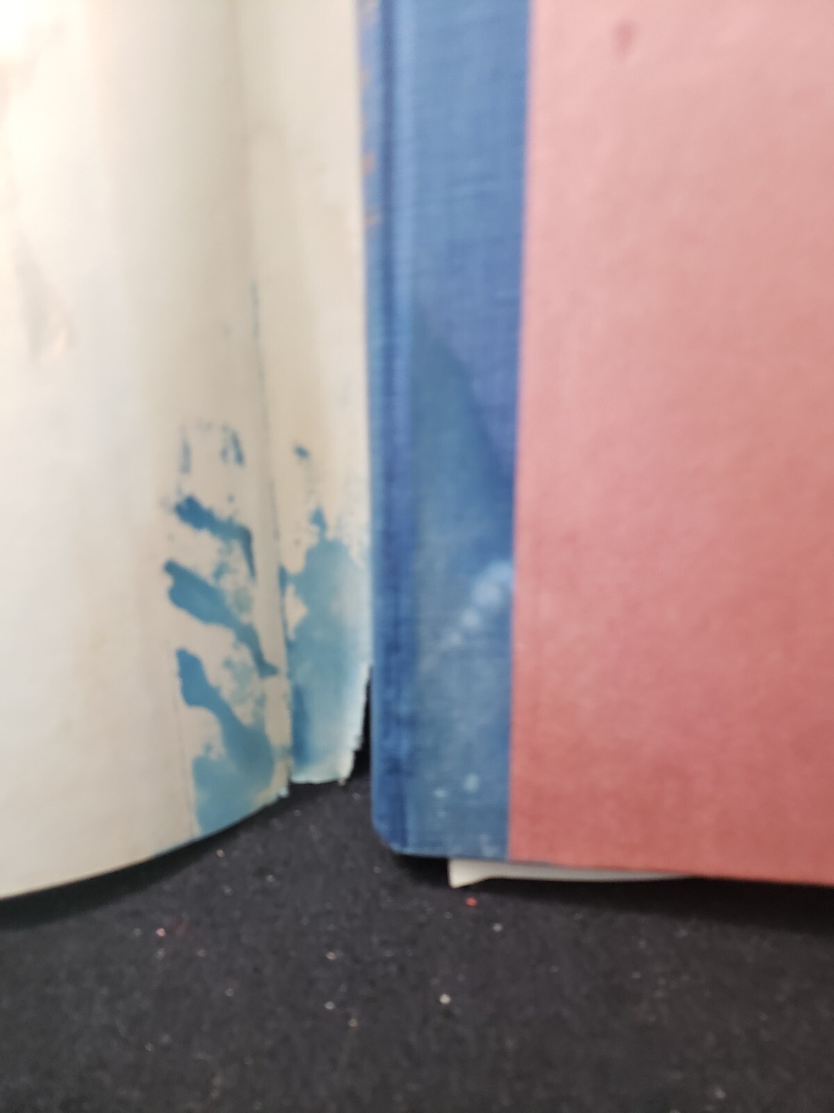 Amazon Head Hunters – 1953 Lewis Cotlow – Hardback 1st Edition – Inscribed