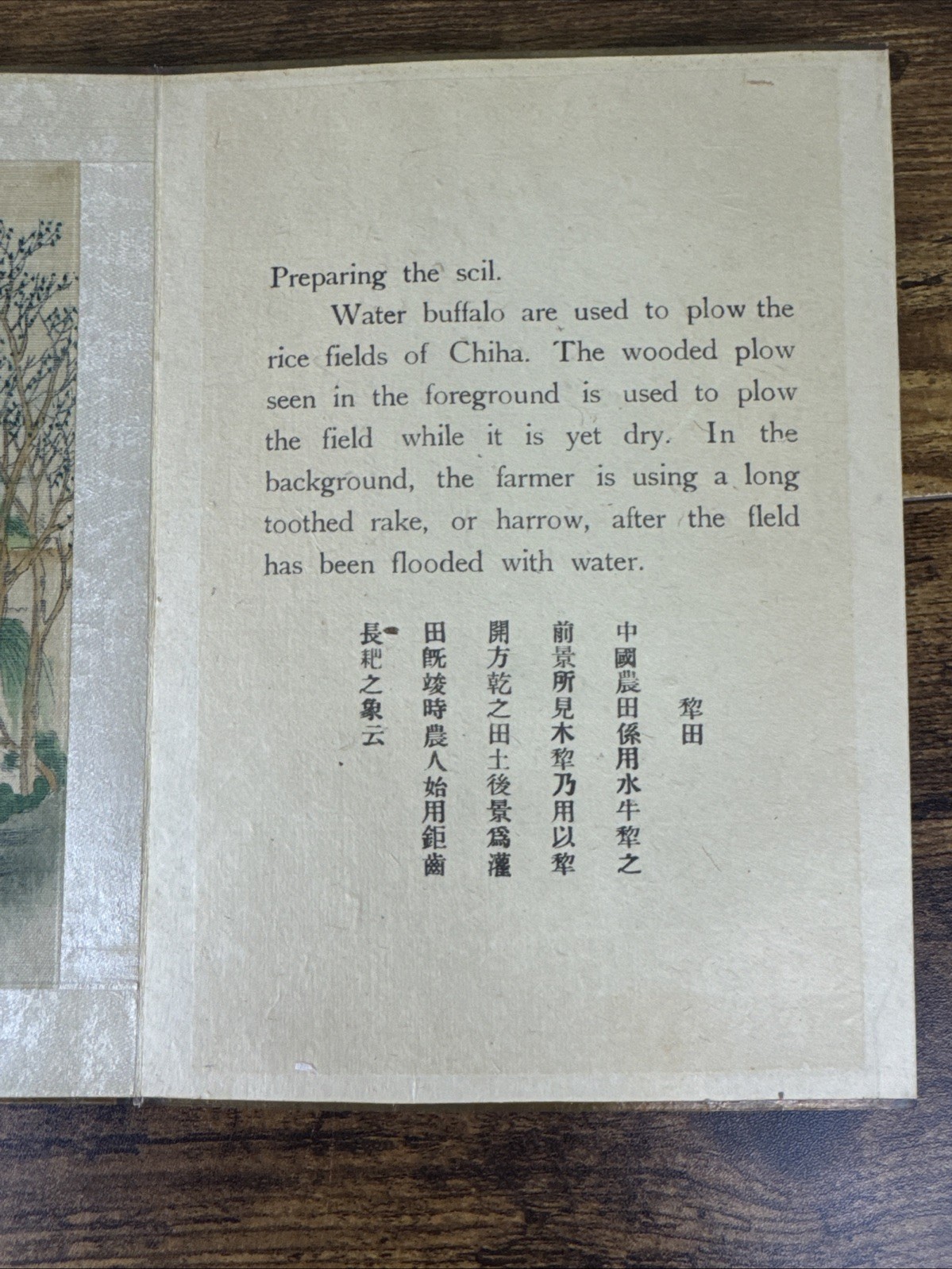 THE STORY OF RICE ~ CHINESE/ENGLISH ILLU. WOODEN ACCORDION BOOK ~ C. EARLY 1900S