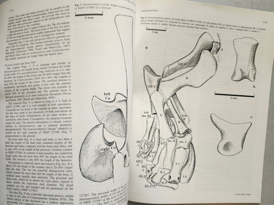 Philip J. Currie & Others Cretaceous Dinosaur Fossil +MORE Reprint Collection !!