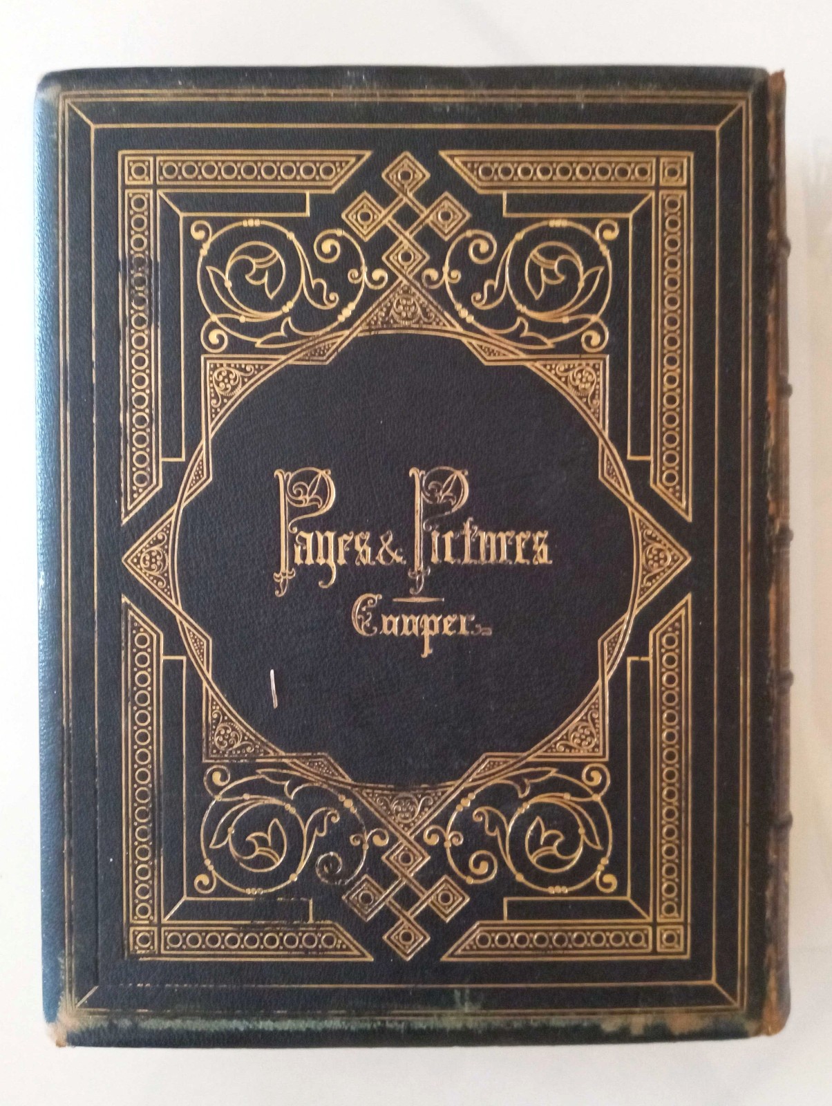 Pages and Pictures From the Writings of James Fenimore Cooper 1861