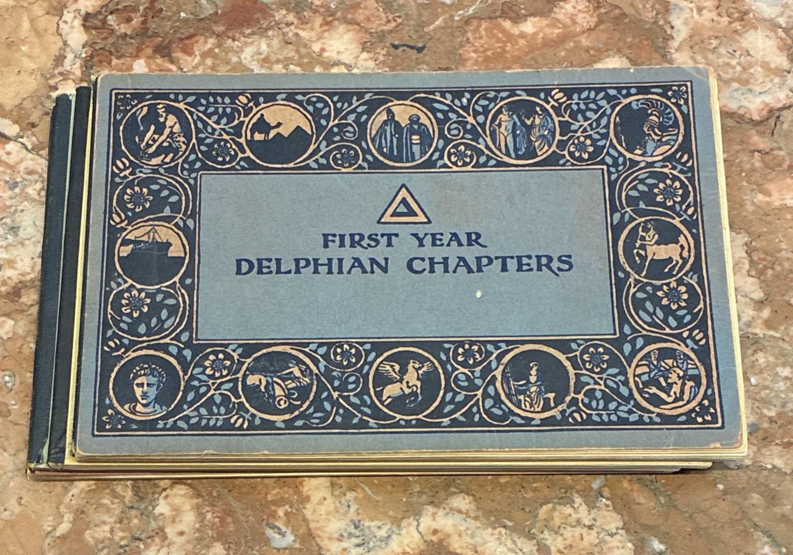Book Set Delphian Text + Workbooks Women Education Illustrated Antique Complete