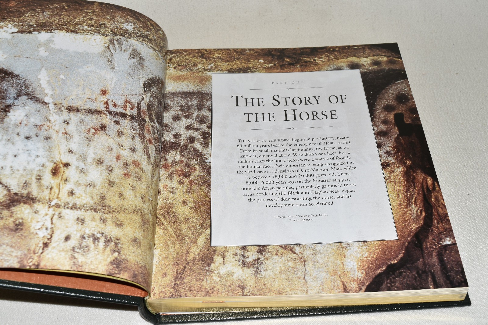 Easton Press NEW ENCYCLOPEDIA OF THE HORSE Edwards 2000 1ST ED LEATHER FINE/OOP!