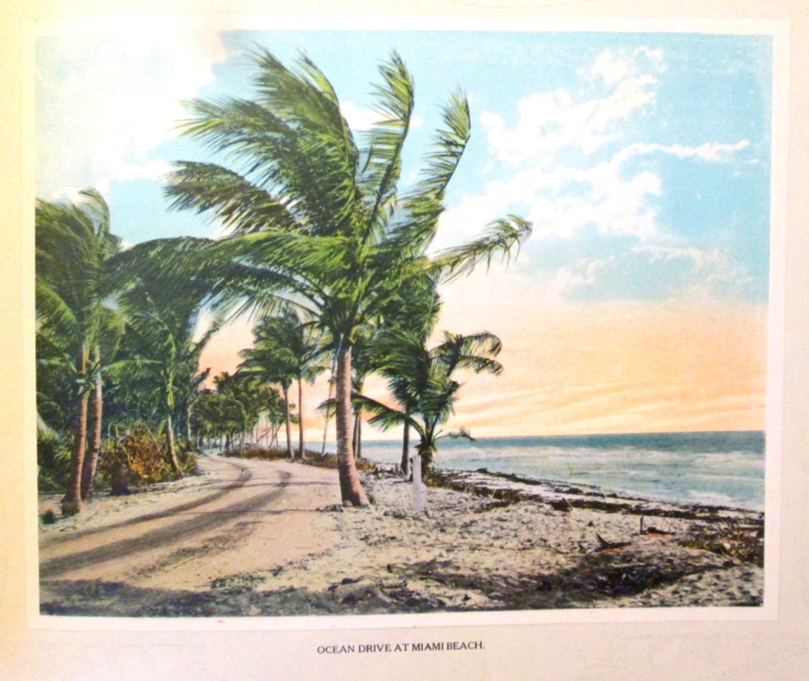 Miami the Beautiful Rare 100+ yr old book Hand tinted Color Plates Florida VG+