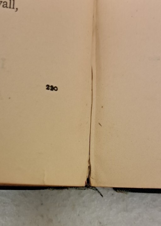 Antique Book 1891, Lay Of The Last Minstrel, Scott. Riverside Prs Cambrid#2.5.9