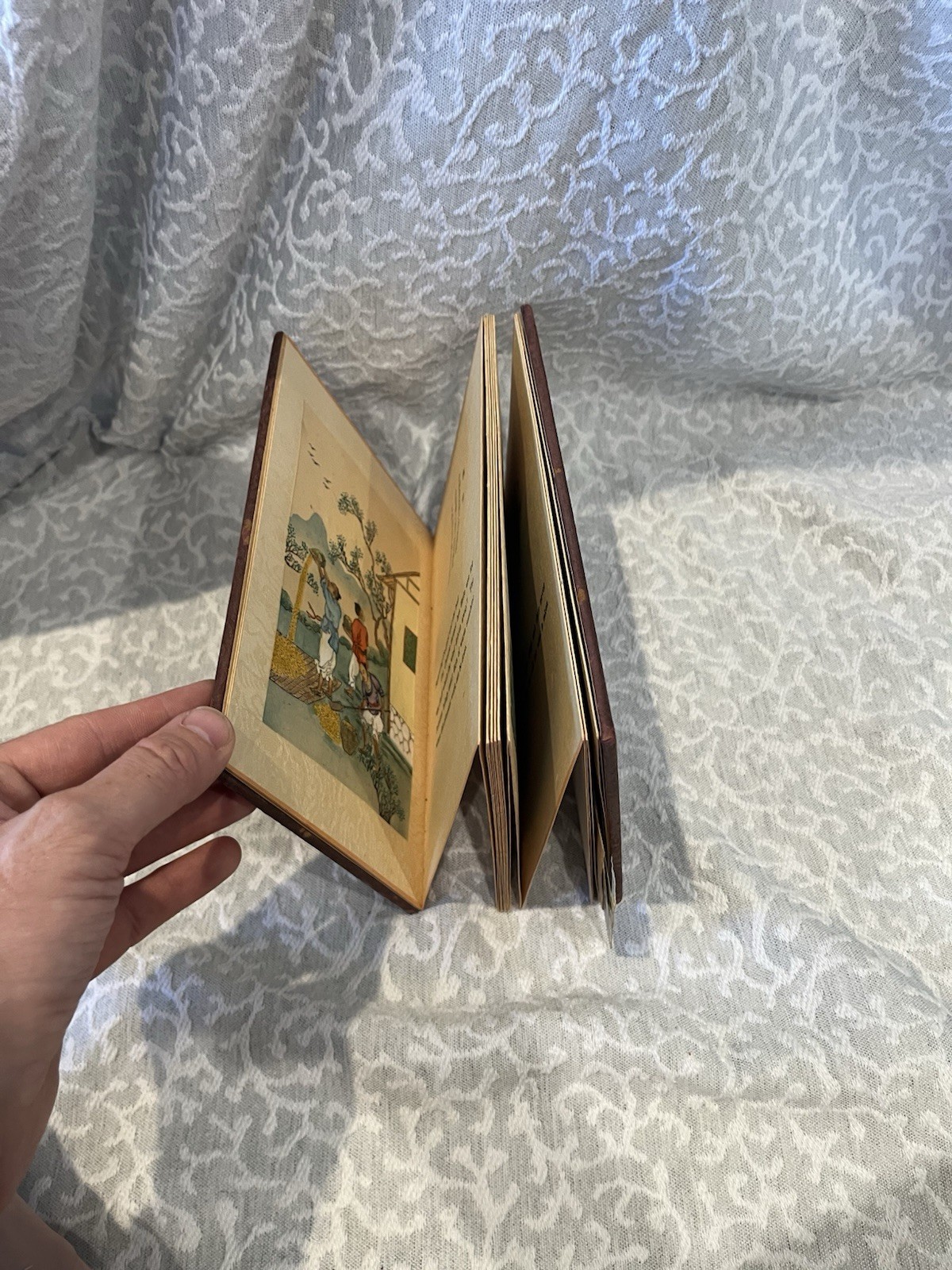 Picture Story of Chinese Old Farming Book Illustrated Vintage Foldout Hardcover