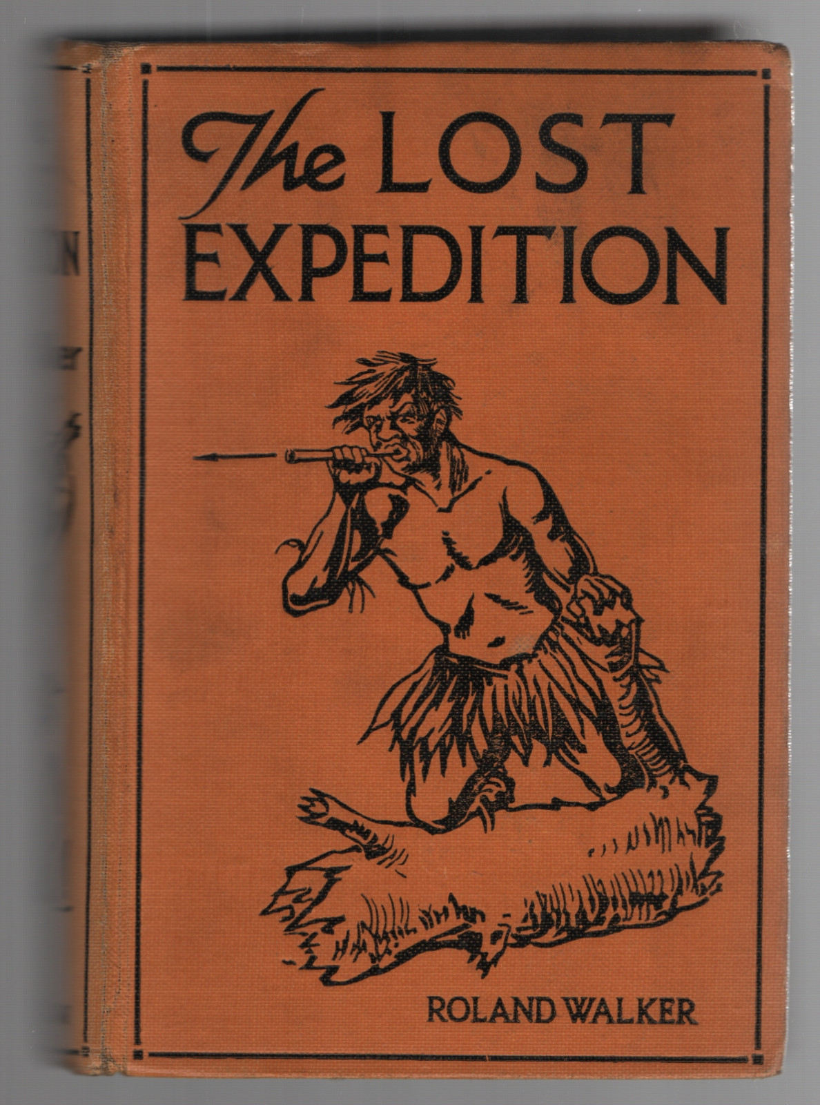 The Lost Expedition by Roland Walker Scarce 1923 English Juvenile Lost Race