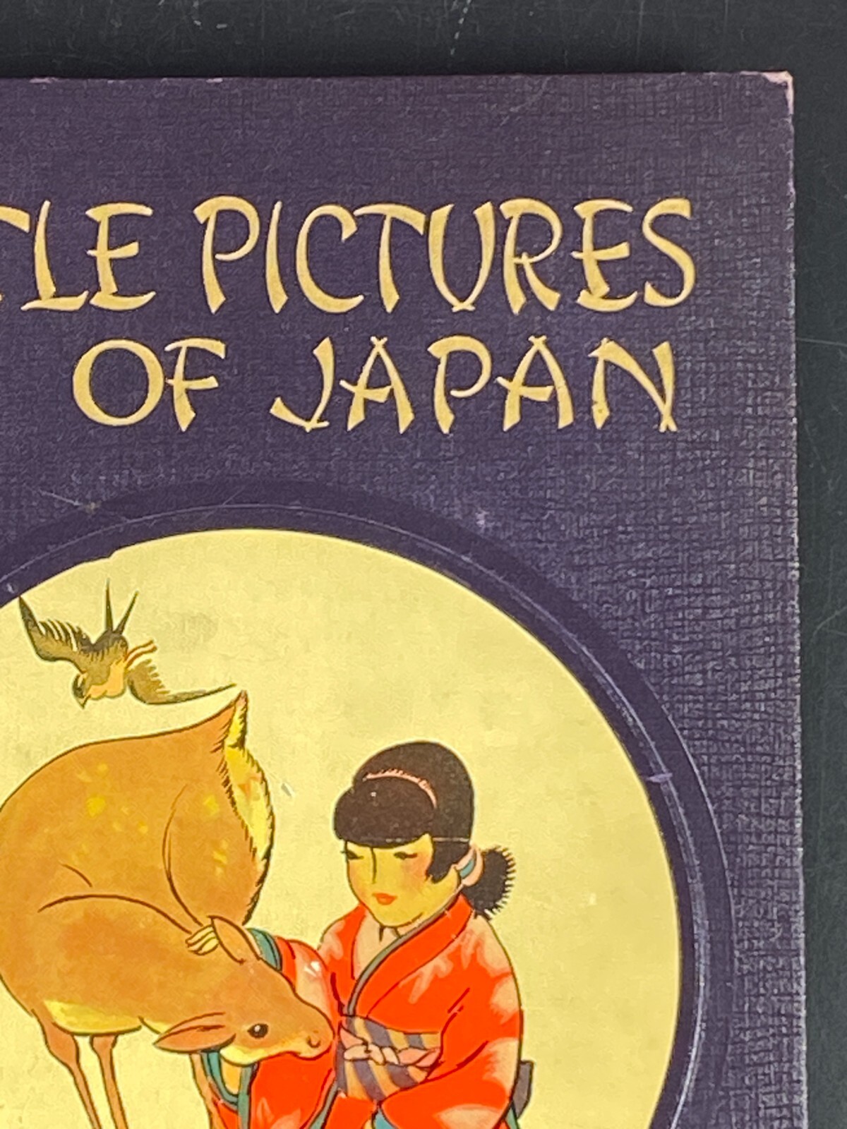 Little Pictures Of Japan My Travel ship First Edition 1925 My Travelship Antique