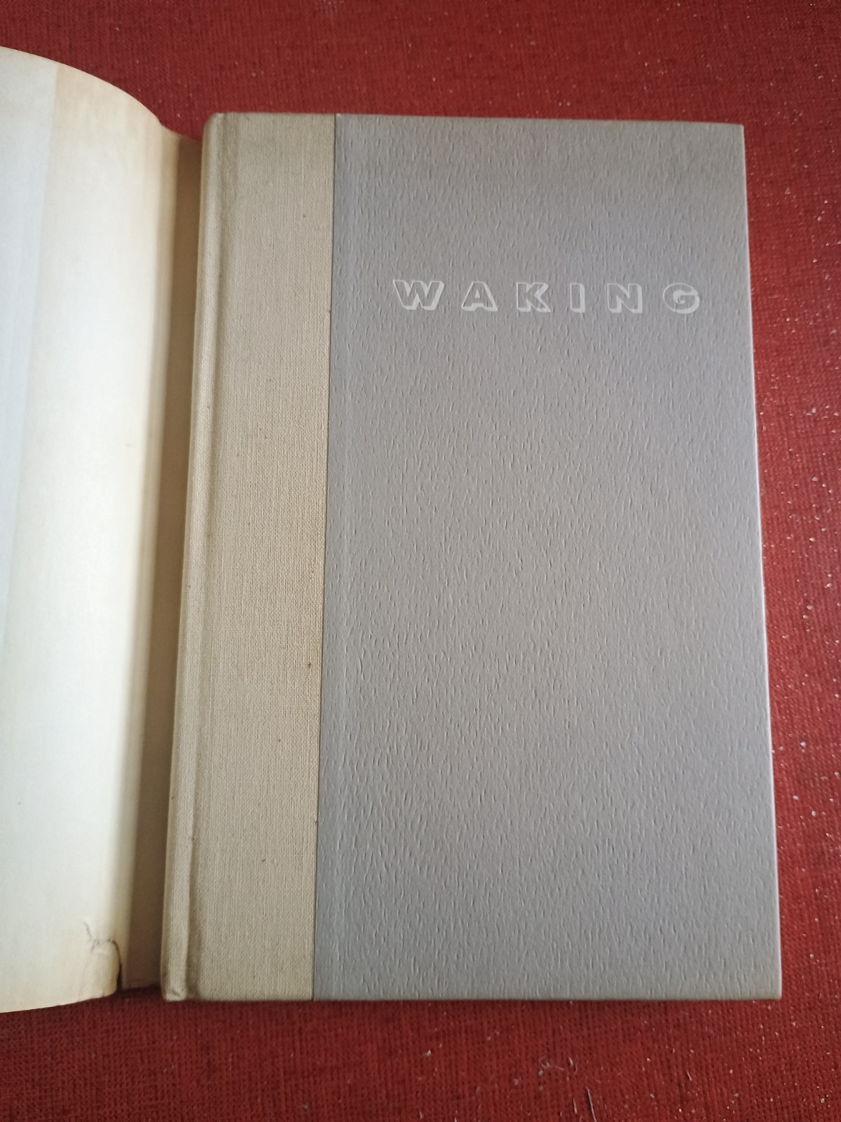 Waking Eva Figes 1981 First Edition Hardcover with Dust Jacket