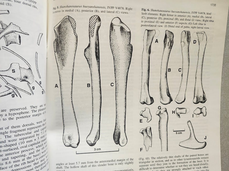 Philip J. Currie & Others Cretaceous Dinosaur Fossil +MORE Reprint Collection !!
