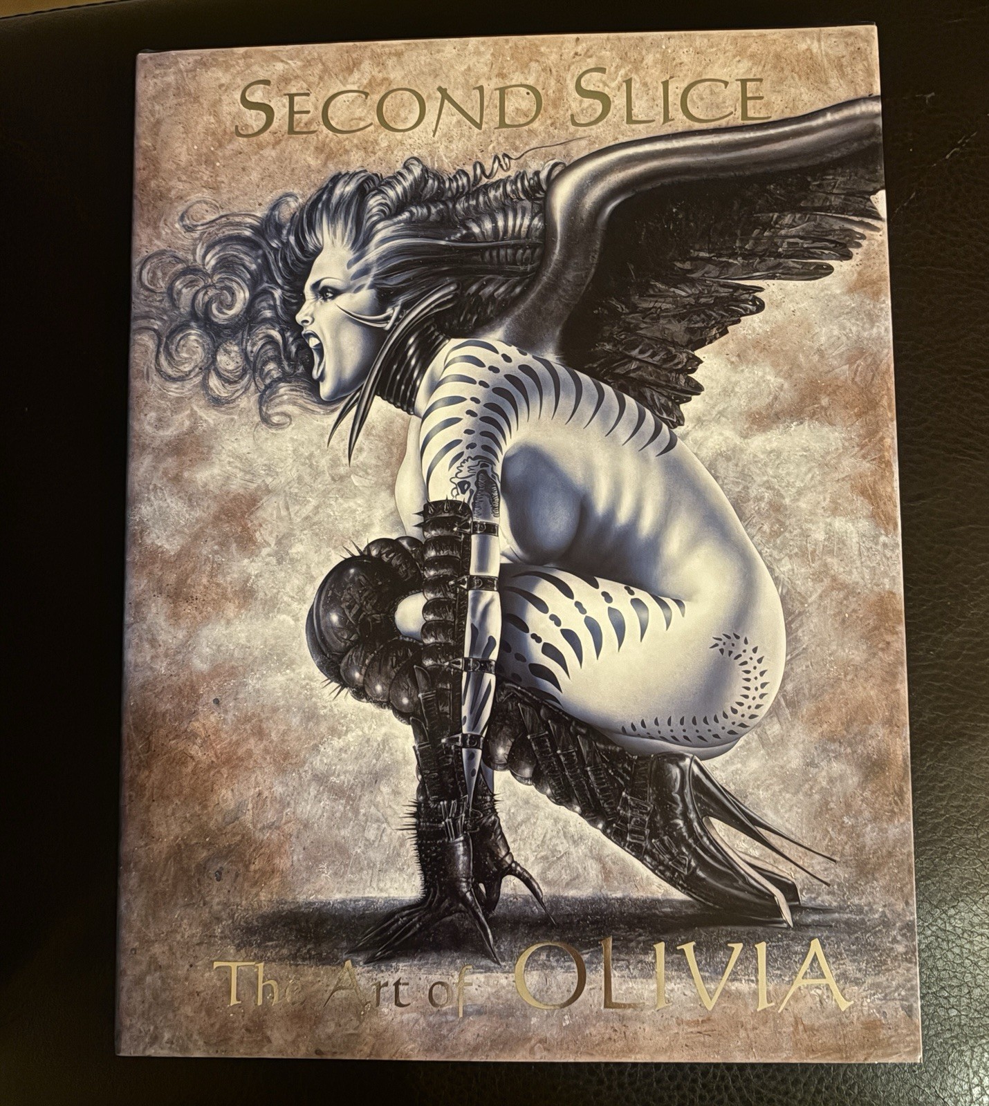 Second Slice The Art Of Olivia De Berardinis 1997 Hardcover NEW