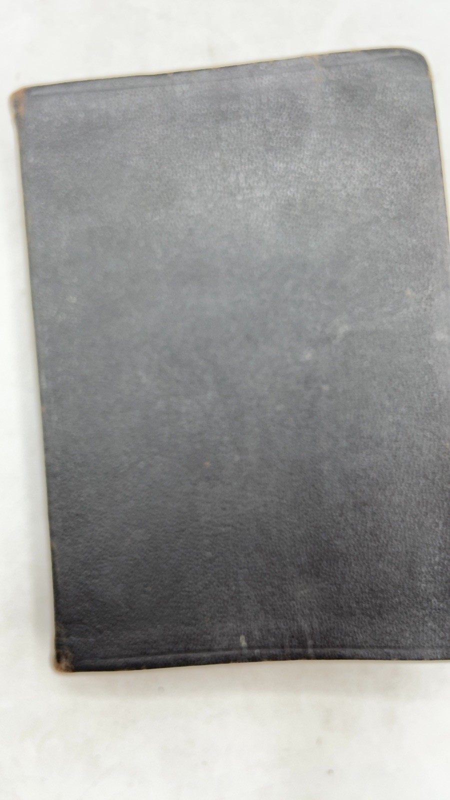 聖經 Hardcover