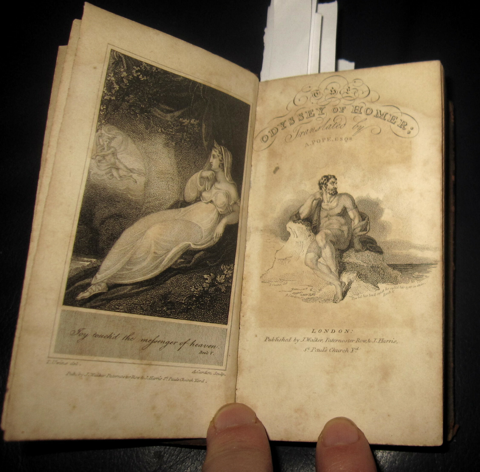1811 HOMER, POPE, The Odyssey of Homer, Battle of the Frogs and Mice. ODISSEA