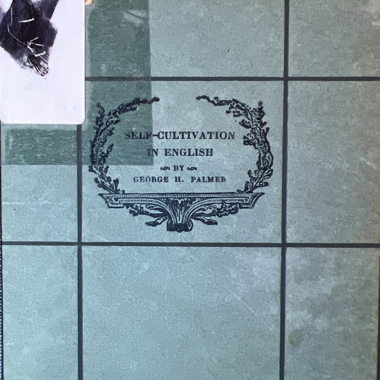 SELF-CULTIVATION in ENGLISH by GEORGE HERBERT PALMER 1909 Riverside Monographs