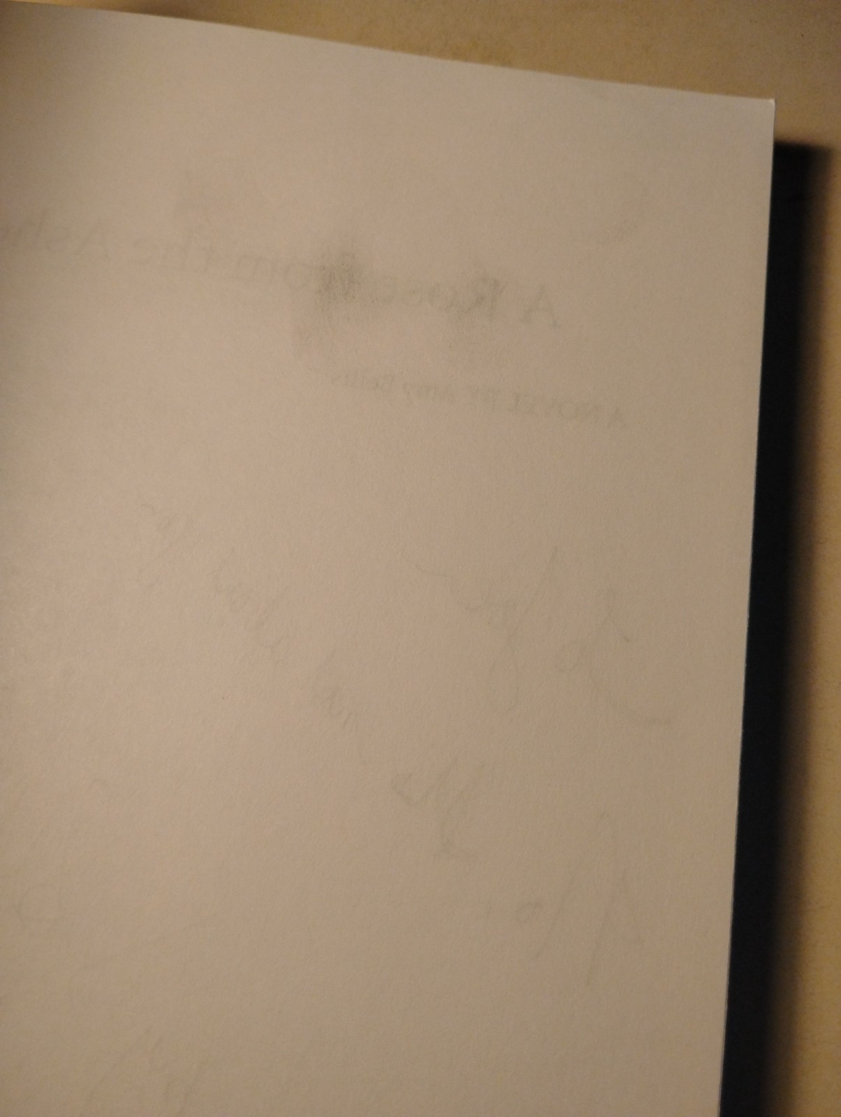 SIGNED 1st Edition A Rose from the Ashes Amy Bellis 2010 9/11 Fiction Paperback