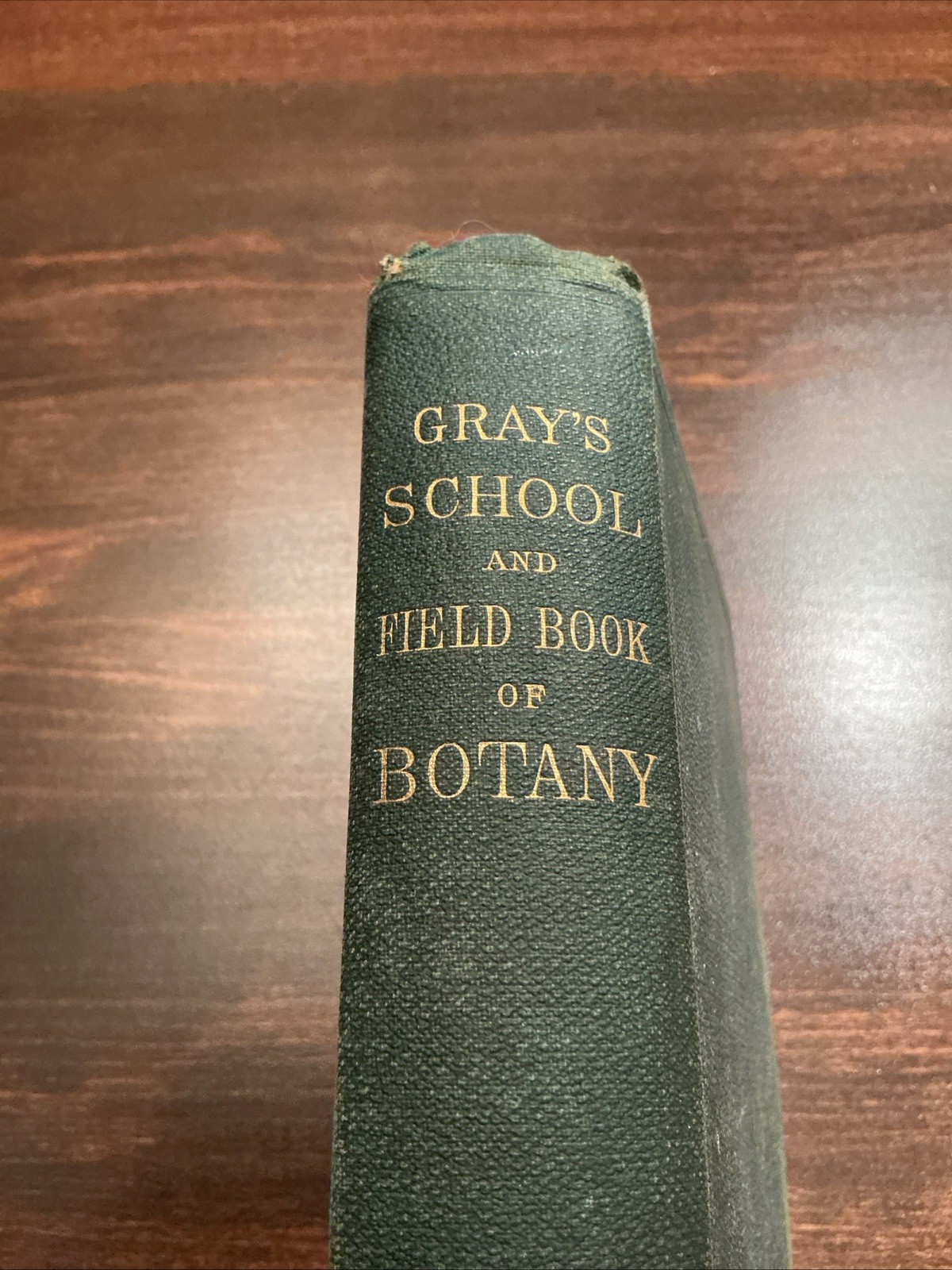 Gray’s School & Field Book of Botany! (Ivison, 1868) Good condition