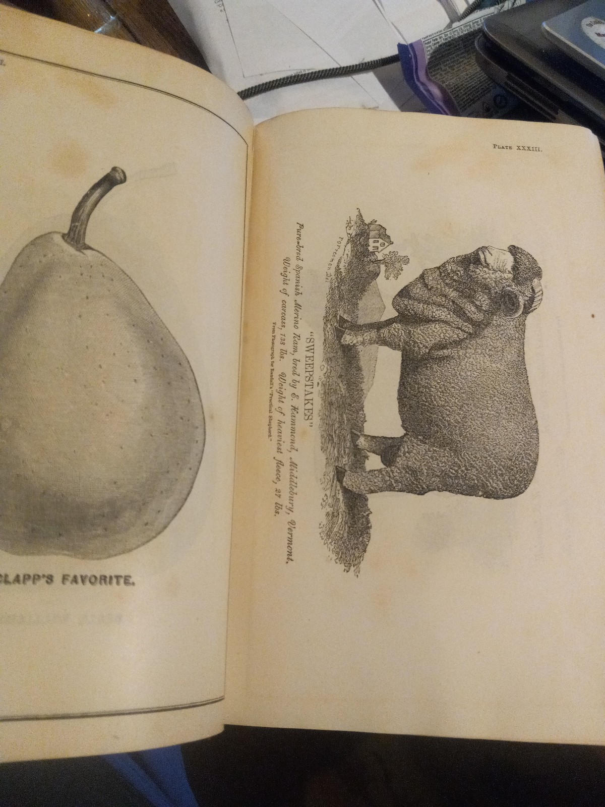 1862 USDA NICE! ILLUST COMMISIONER AGRICULTURE REPORT W/48 PLATES & INPAGE PICS!
