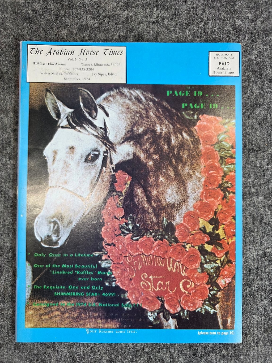 The Arabian Horse Times Vol 5 No 3 September 1974 Vintage Magazine Horses