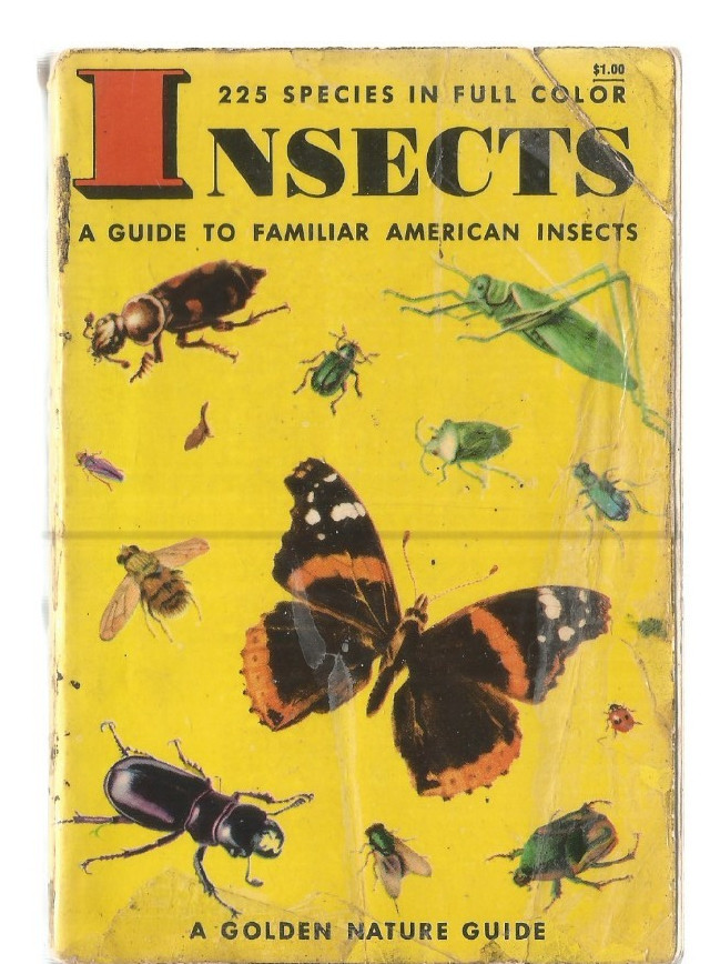 Vintage Golden Nature Guide To Familiar American Insects Softcover 1956