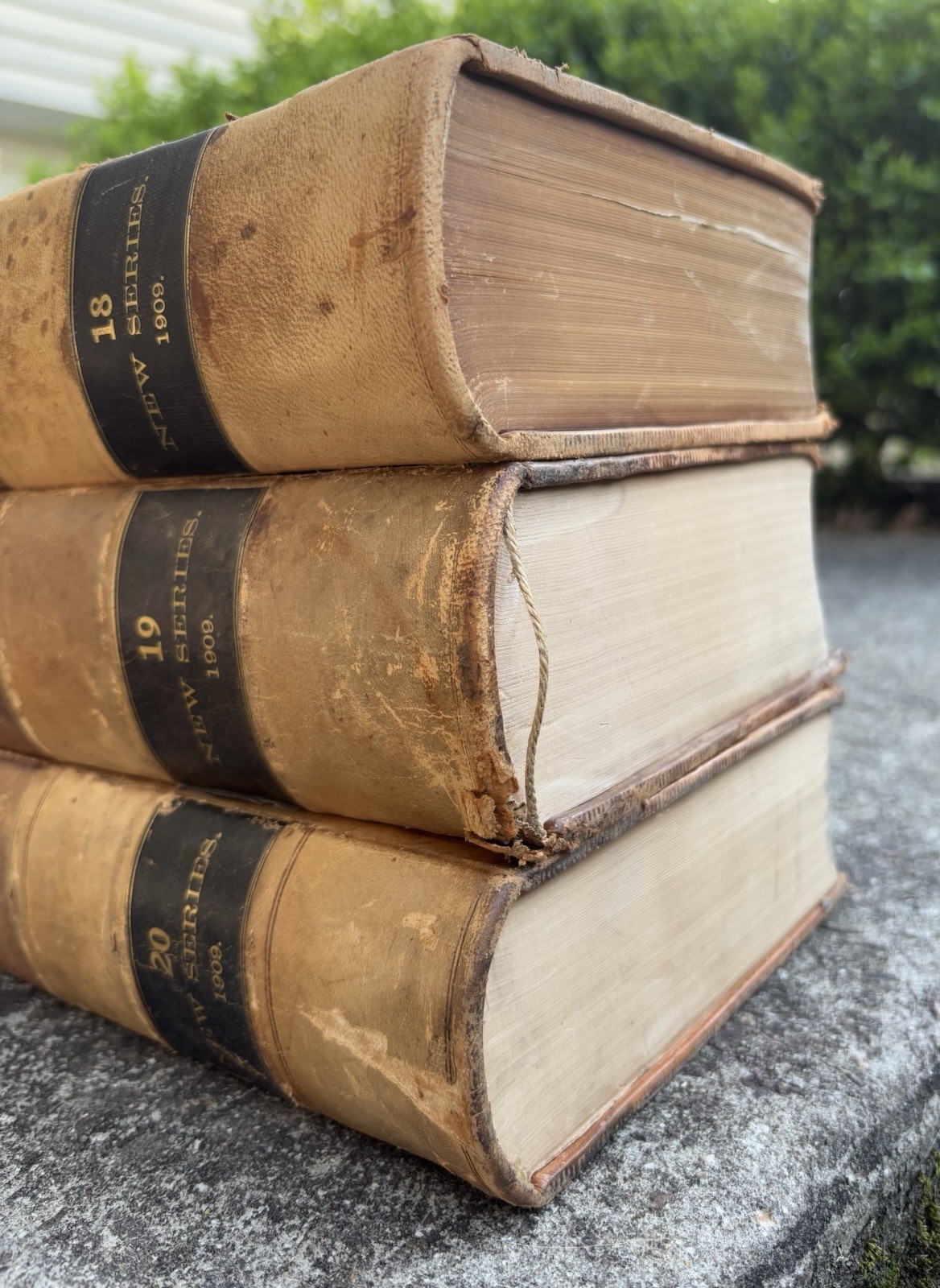 The Lawyers Reports Annotated 1909 18 19 & 20 Leatherback Books